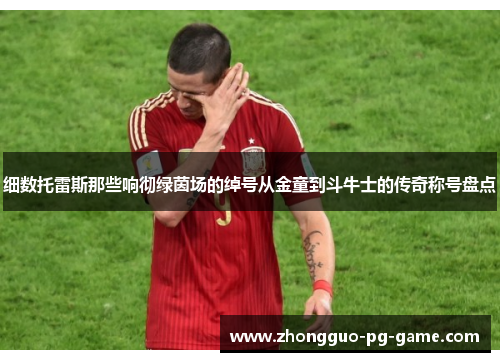 细数托雷斯那些响彻绿茵场的绰号从金童到斗牛士的传奇称号盘点 细数托雷斯那些响彻绿茵场的绰号从金童到斗牛士的传奇称号盘点